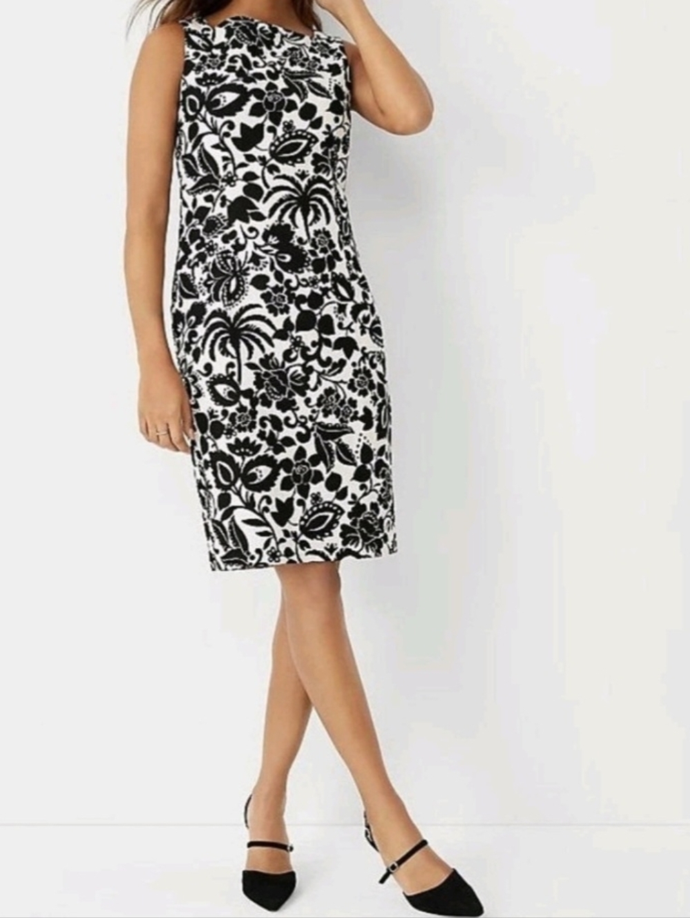 Ann Taylor NWT  Black and Ivory White Sleeveless Floral Sheath Dress Size 2